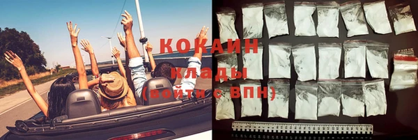 сатива Сосновоборск