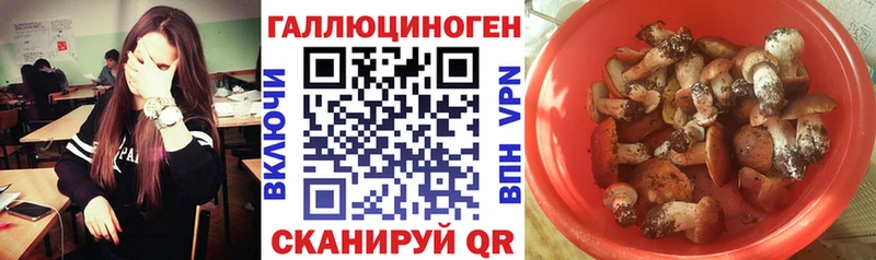 Галлюциногенные грибы мицелий  Озёрск 