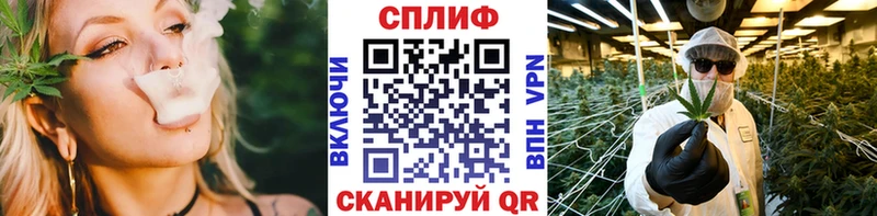 Бошки Шишки сатива  Озёрск 